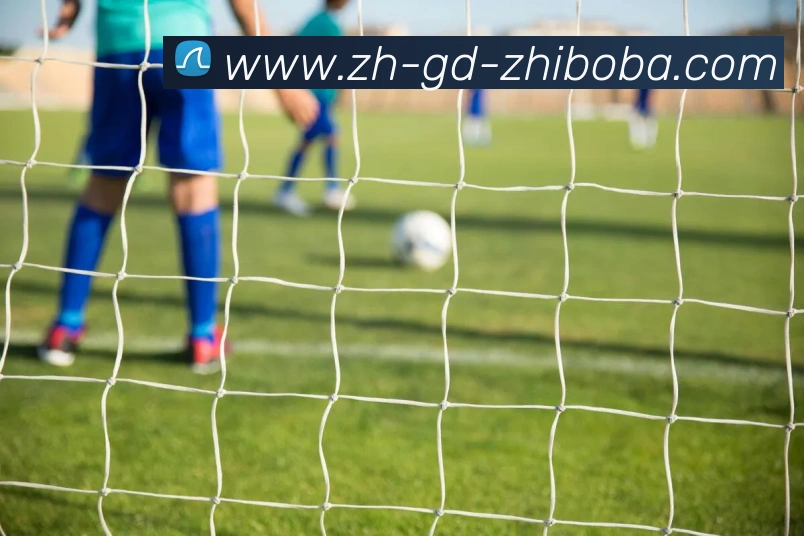 直播吧品牌故事