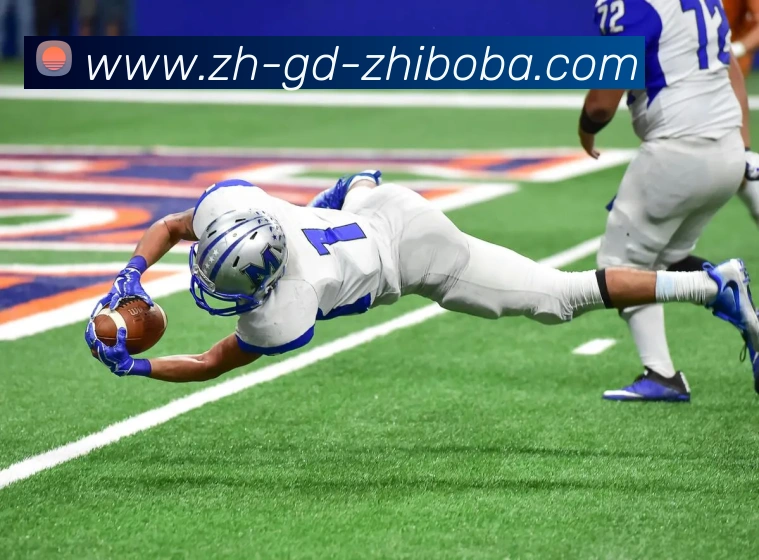 多媒体互动体验